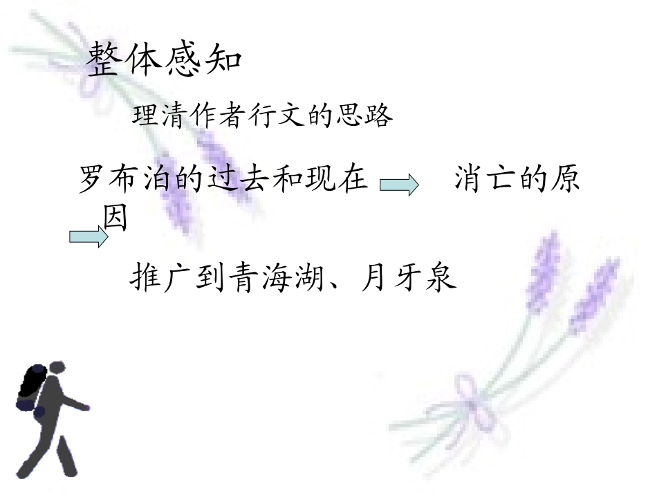 《罗卜泊，消失的仙湖》成品课件_第3页