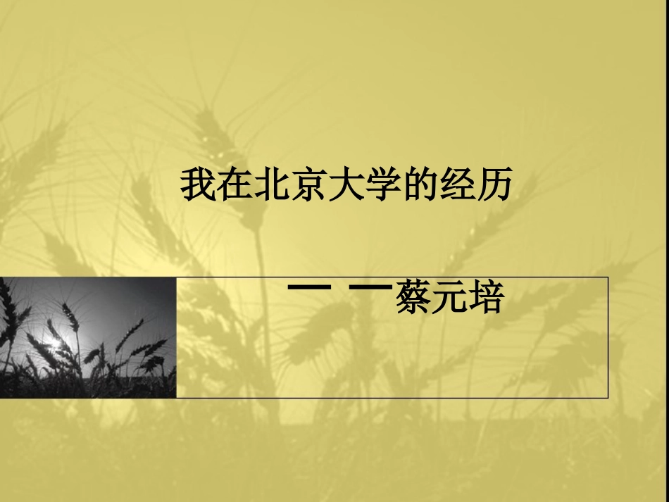 《我在北京大学的经历》课件_第1页
