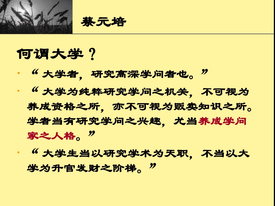 《我在北京大学的经历》课件_第3页