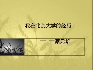 《我在北京大学的经历》课件