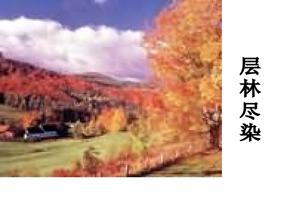 1、秋天的图画_第2页