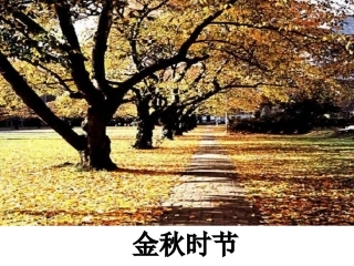 1、秋天的图画