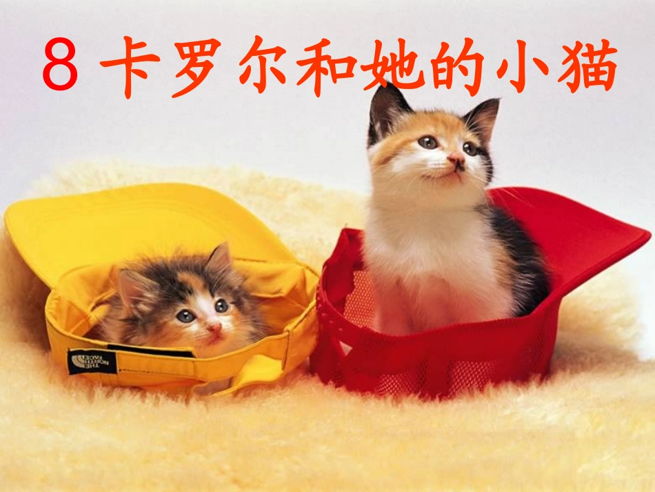 人教版语文二下《卡罗尔和她的小猫》PPT课件_第3页