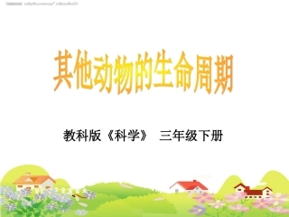 2-6、其他动物的生命周期