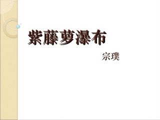 紫藤萝的瀑布