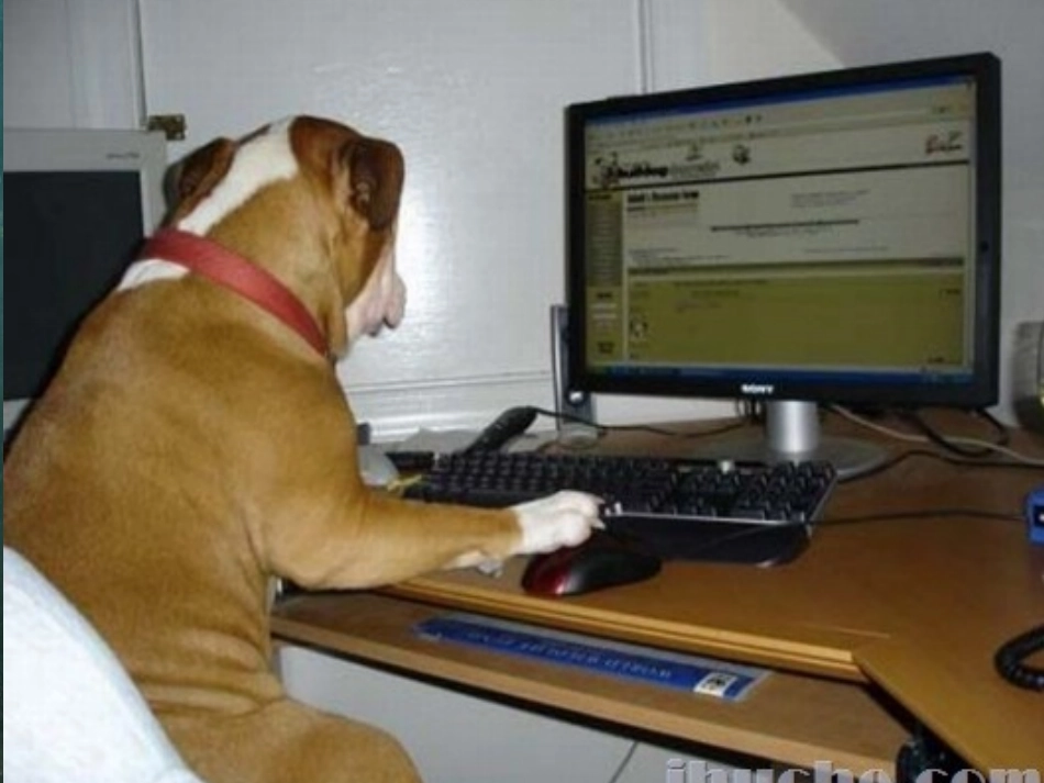 人教2011版小学数学三年级有趣的乘法计算-(3)_第2页