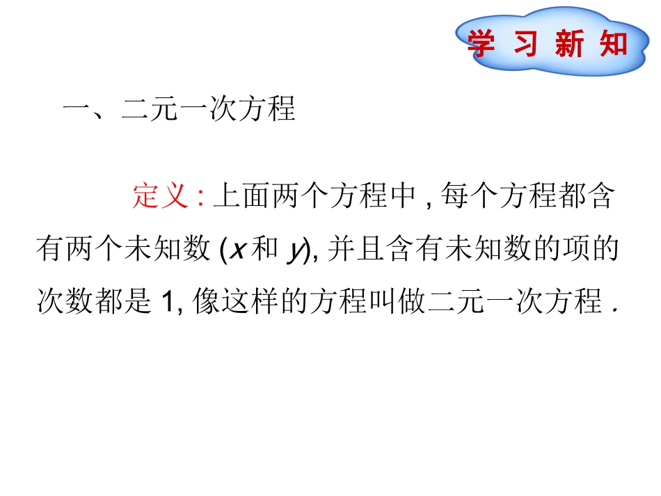 引言及二元一次方程组_第3页