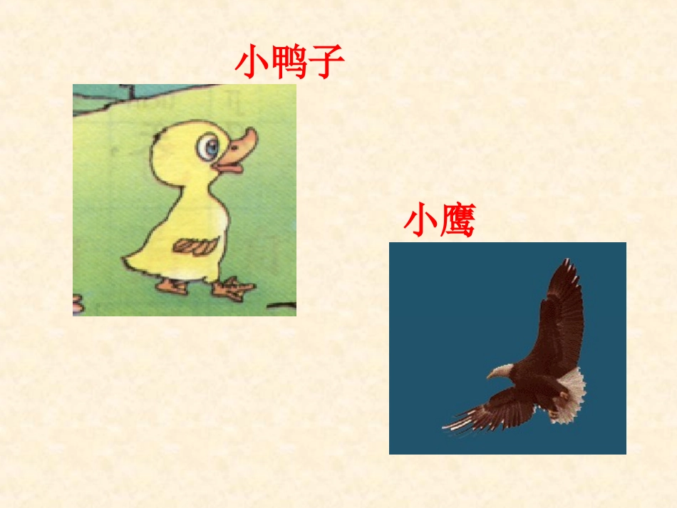 课文14《自己去吧》_第1页