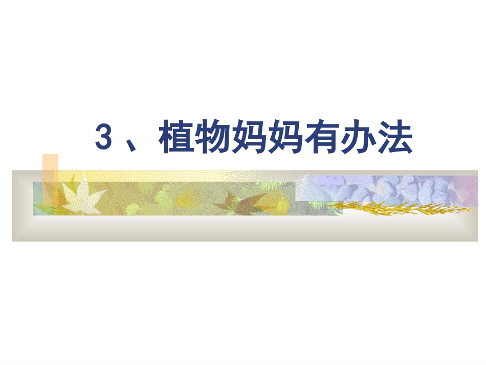 植物妈妈有办法课件_第1页
