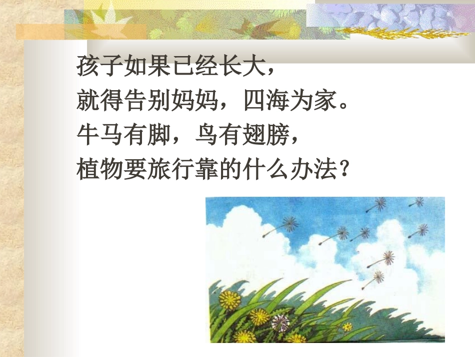 植物妈妈有办法课件_第2页