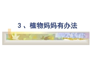 植物妈妈有办法课件