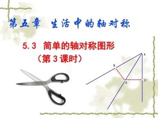 简单的轴对称图形(3).3简单的轴对称图形3OK