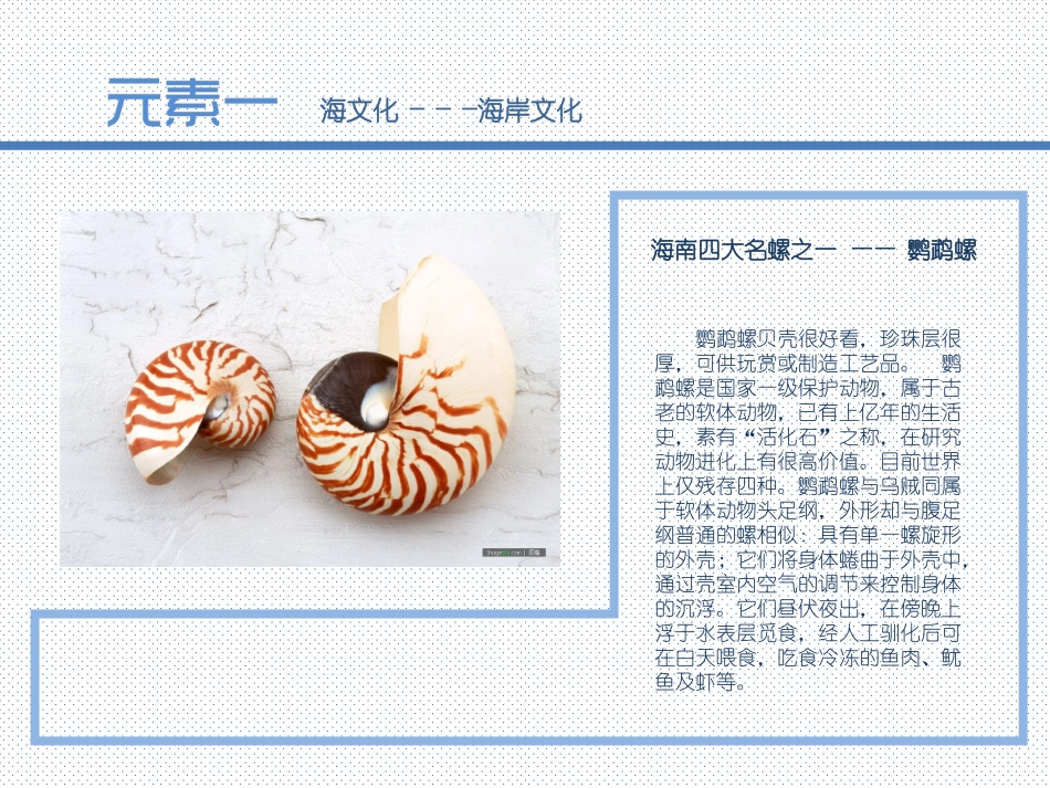 海南地域特色文化_第3页