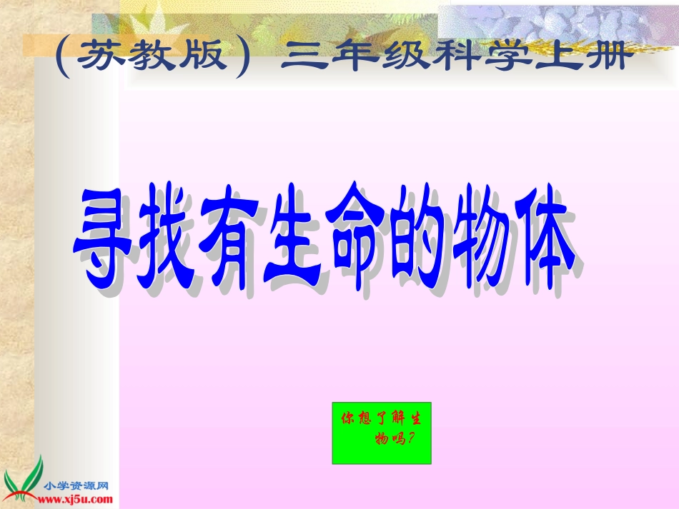 苏教版小学科学三年级上册《寻找有生命的物体》PPT课件_第1页