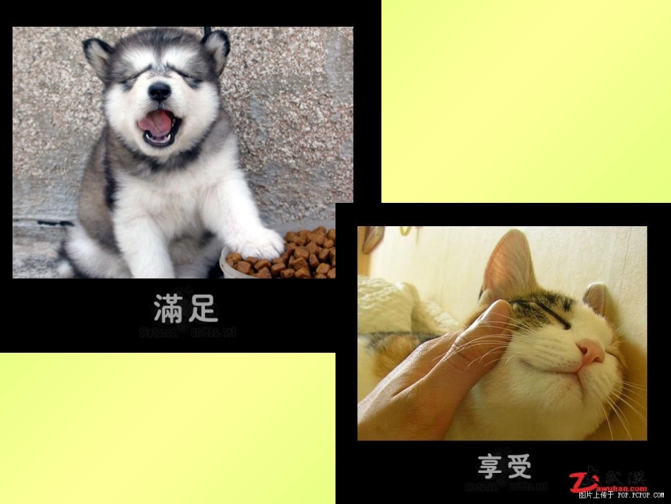 我喜欢的动物课件_第3页