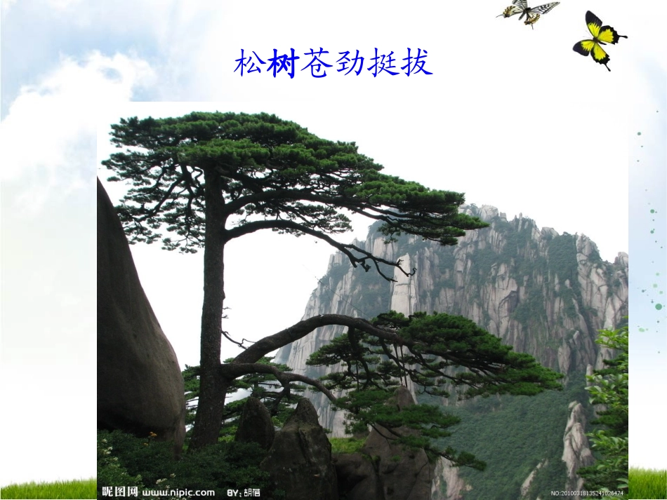 想当一棵树课件_第3页