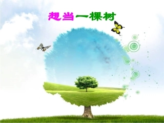 想当一棵树课件