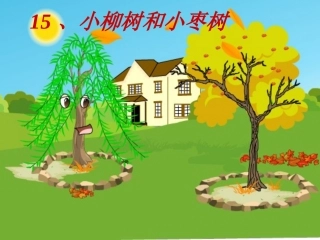 15、小柳树和小枣树