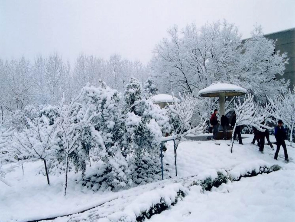 雪地里的小画家课件_第2页