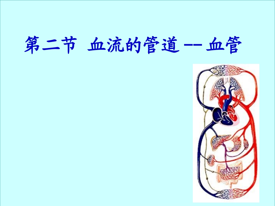 血流的管道-血管(完整版)_第1页