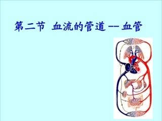 血流的管道-血管(完整版)