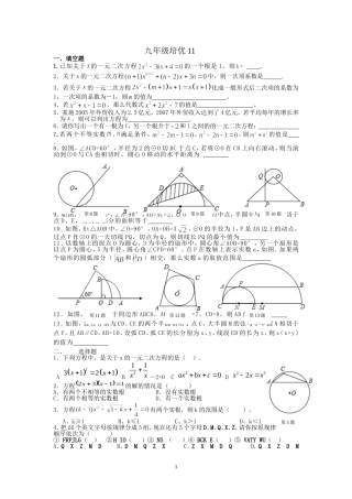 九年级上培优试卷11