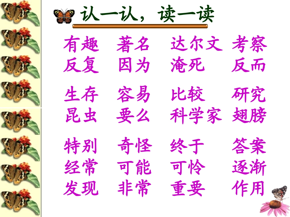 7、有趣的发现_第3页