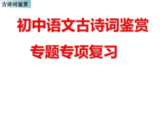 初中语文古诗词鉴赏专题专项复习：56页
