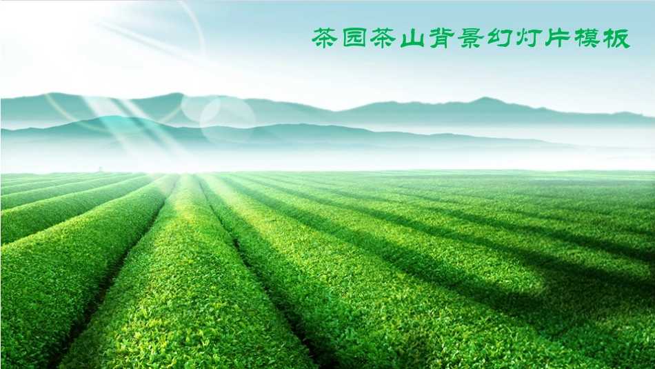 绿色茶山ppt模板_第1页