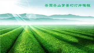 绿色茶山ppt模板