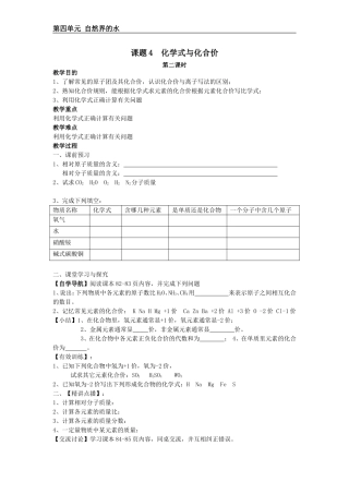 课题4化学式与化合价（2）