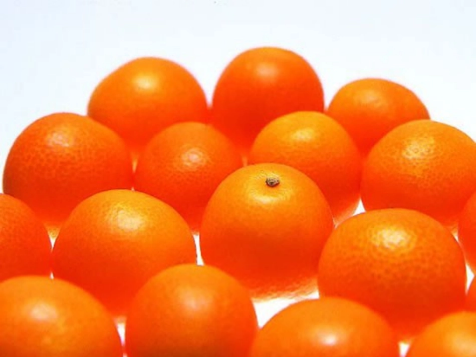 立方体图形与平面图形_第3页