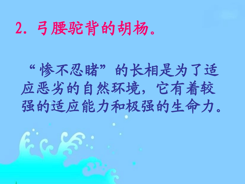 《胡杨赞》重点提问_第2页