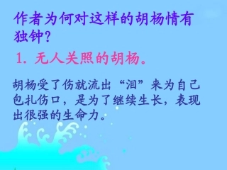 《胡杨赞》重点提问