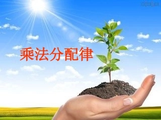 人教2011版小学数学四年级乘法分配律-(6)