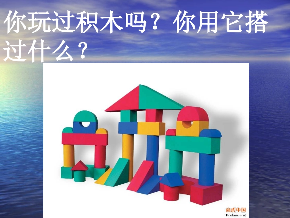 搭建生命体的积木[1]_第1页