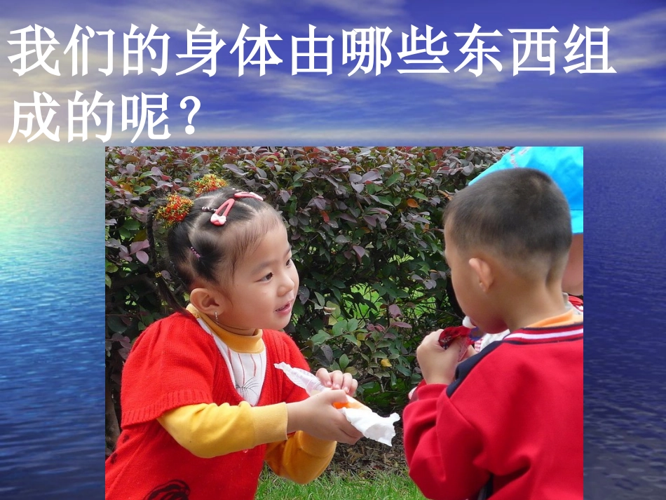 搭建生命体的积木[1]_第2页