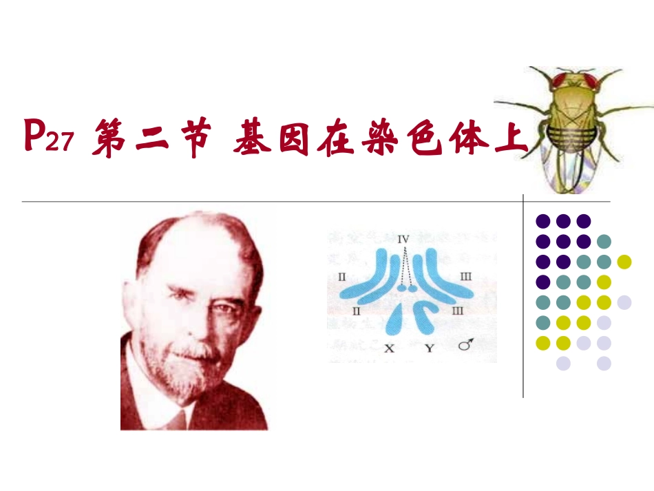 2018-基因在染色体上_第1页