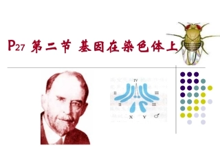 2018-基因在染色体上