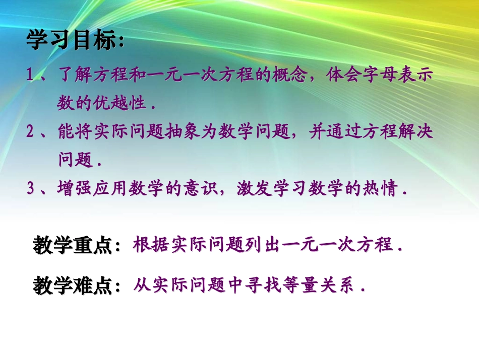 3.1.1一元一次方程_第2页