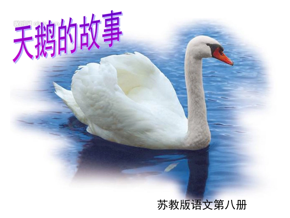 第16课《天鹅的故事》_第1页