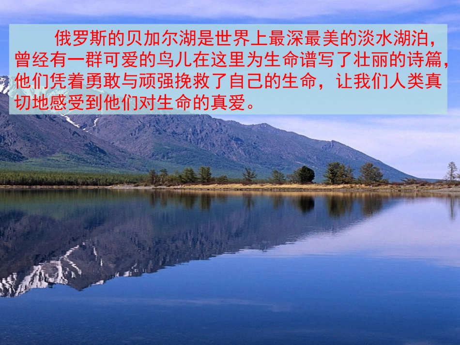 第16课《天鹅的故事》_第2页