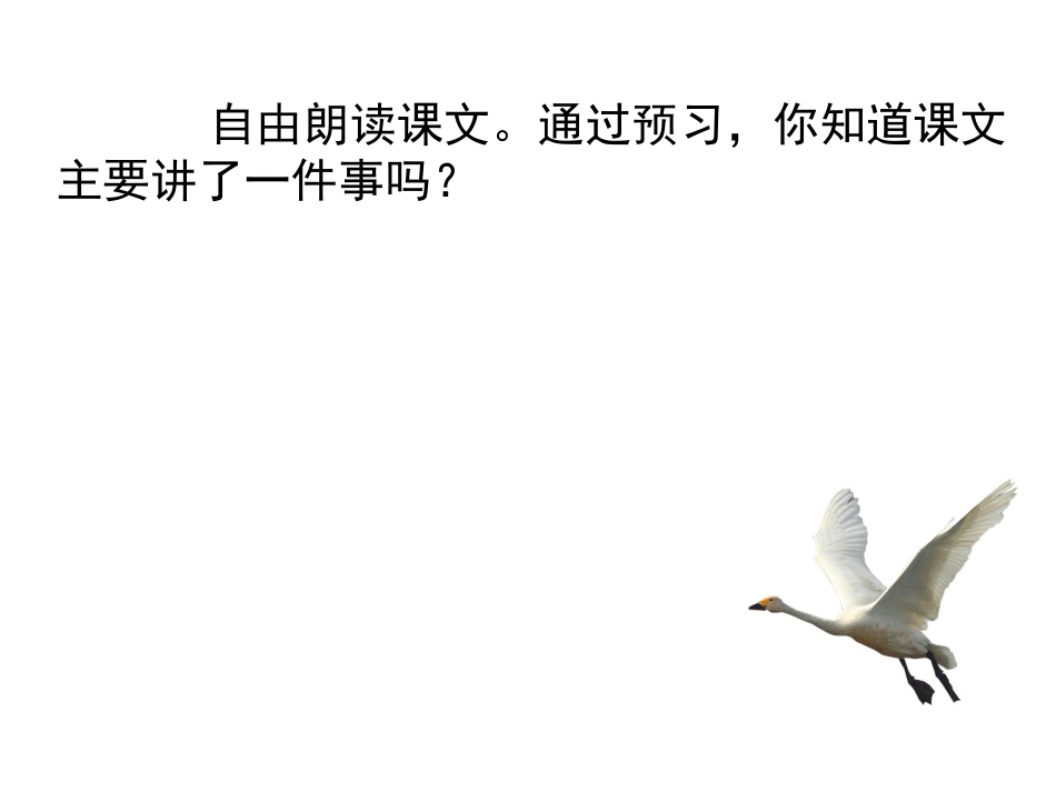 第16课《天鹅的故事》_第3页