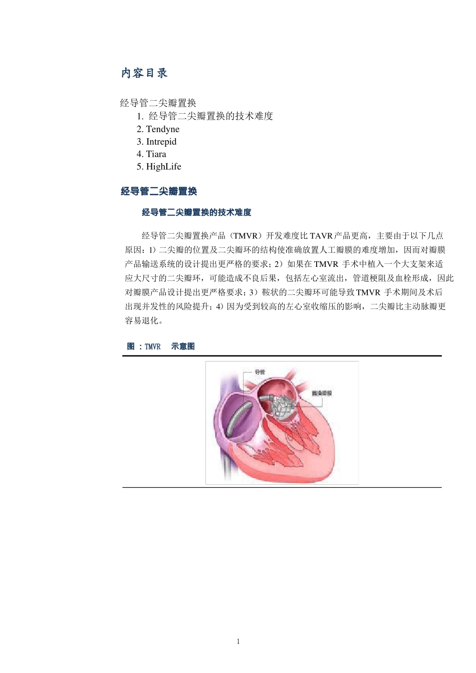 经导管二尖瓣置换产品及临床数据梳理_第1页