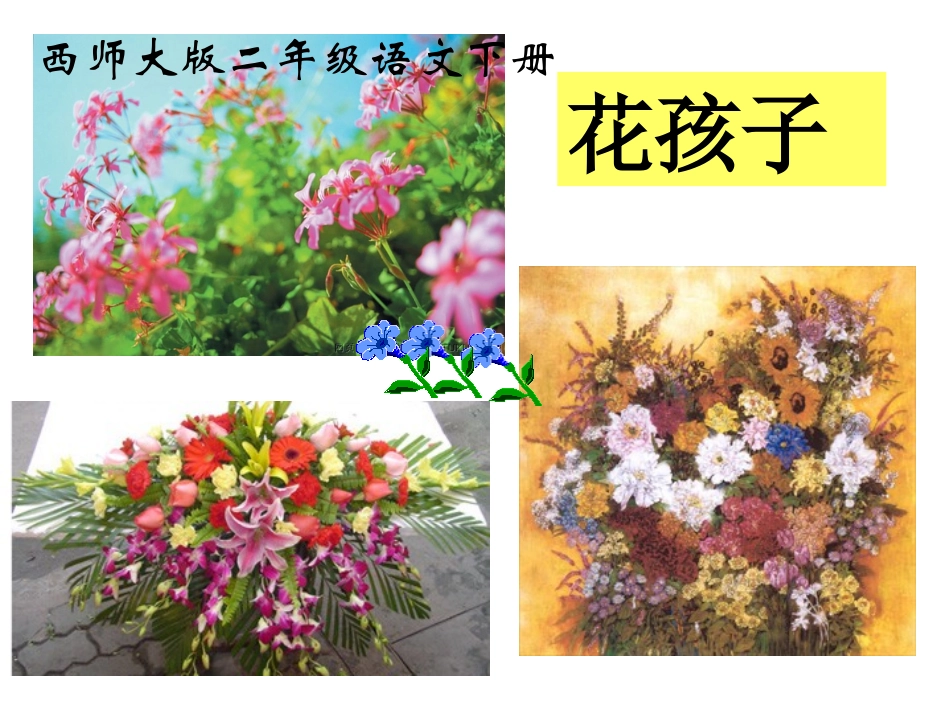《花孩子》课件_第1页
