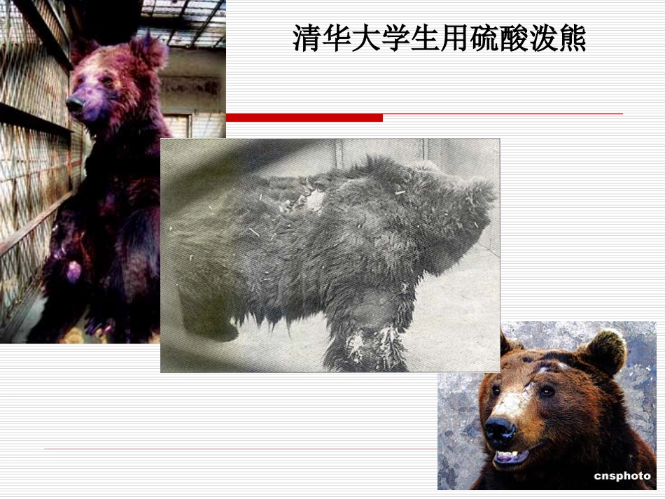 人格是最高的学位(上课)_第2页