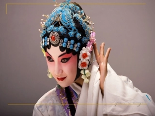 14《梅兰芳学艺》PPT课件
