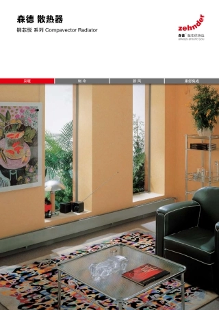 森德铜芯悦散热器2010