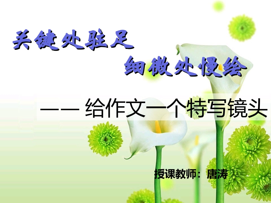 (部编)初中语文人教2011课标版七年级下册“关键处驻足-慢绘细微处”——抓住细节_第1页