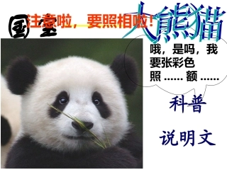 第17课--国宝--大熊猫